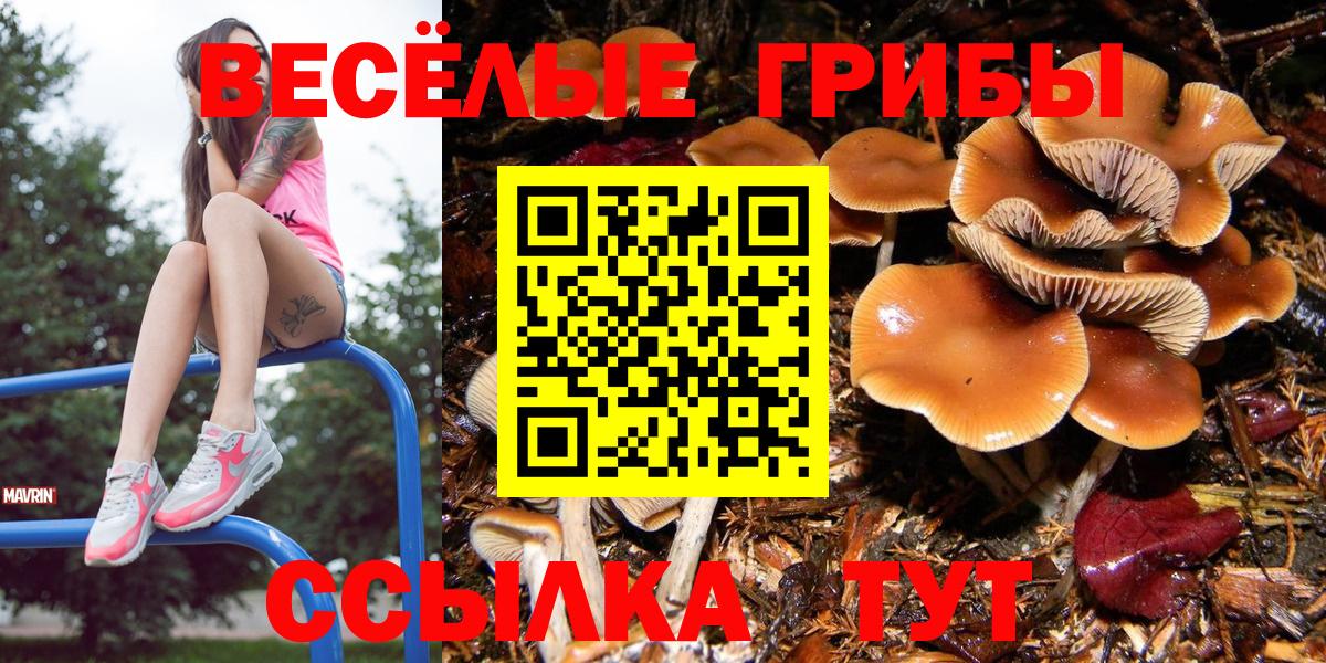 Галлюциногенные грибы мухоморы Воскресенск